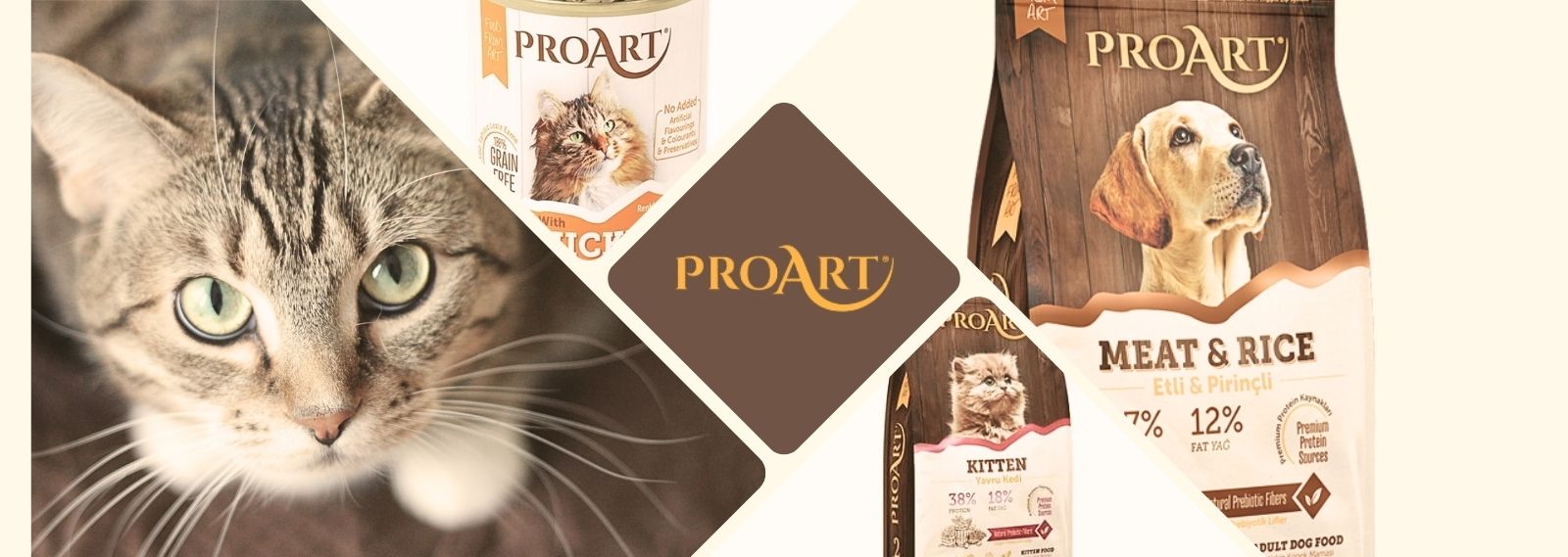 Proart